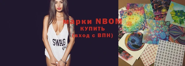 стафф Козловка