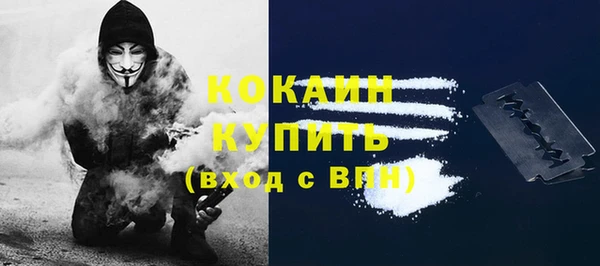 стафф Козловка