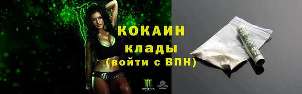 стафф Козловка