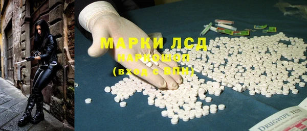 стафф Козловка