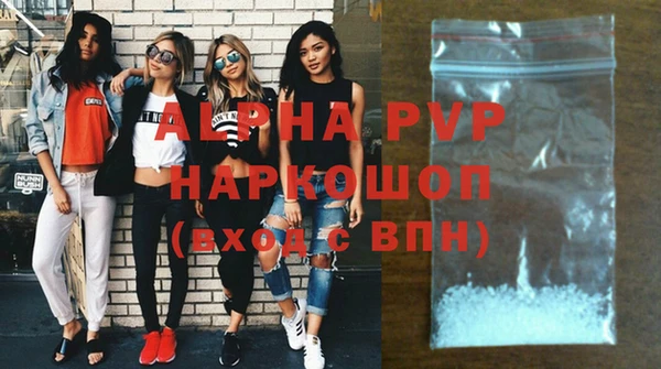 стафф Кодинск