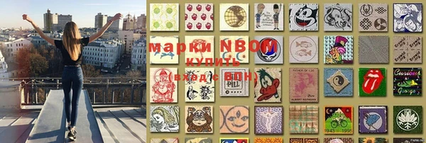 стафф Козловка