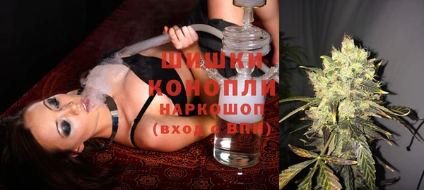 стафф Козловка