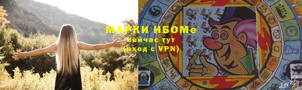 стафф Кодинск