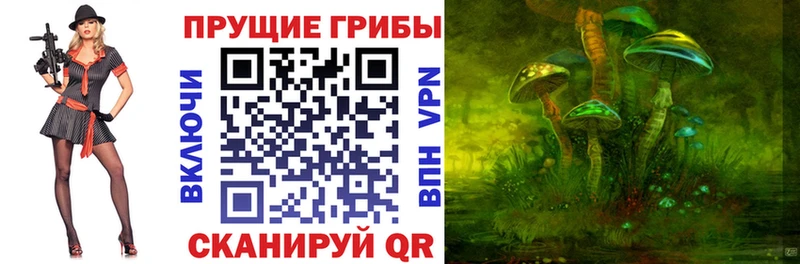 Купить закладки  Белёв  Галлюциногенные грибы мицелий 